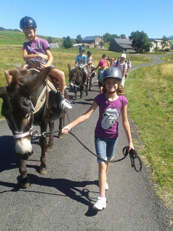 Vvf Haute Loire Saint-Julien-Chapteuil Eksteriør billede